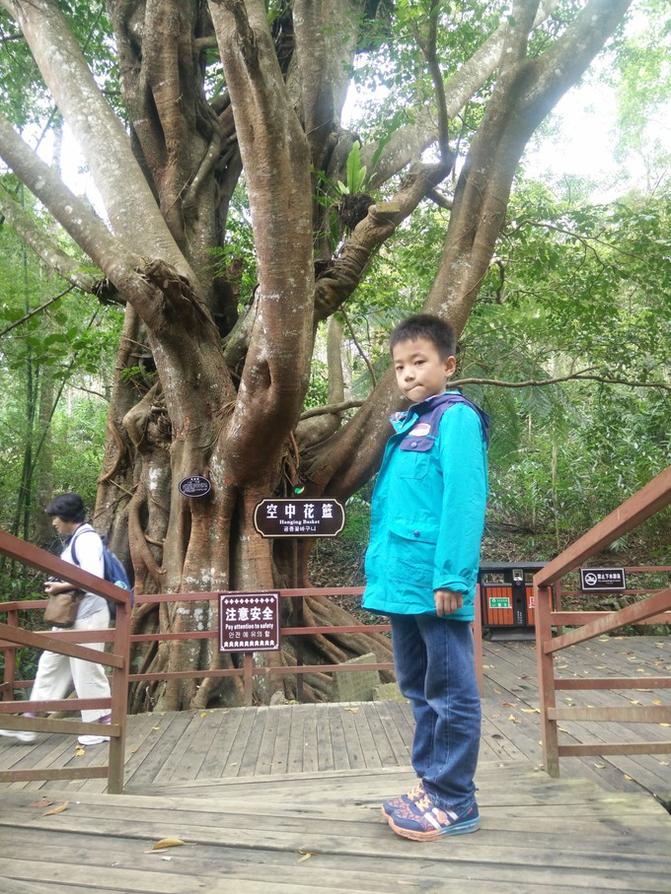 在三亚享受时光,在三亚寻觅一处虚度光阴的地方