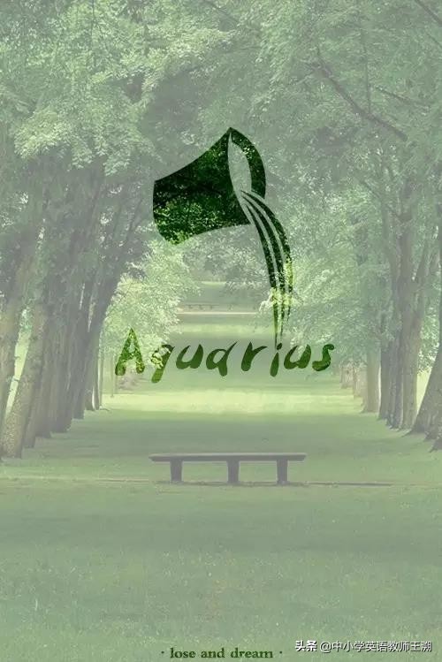 趣味英文字母学习与发音,趣味学英语经典语法