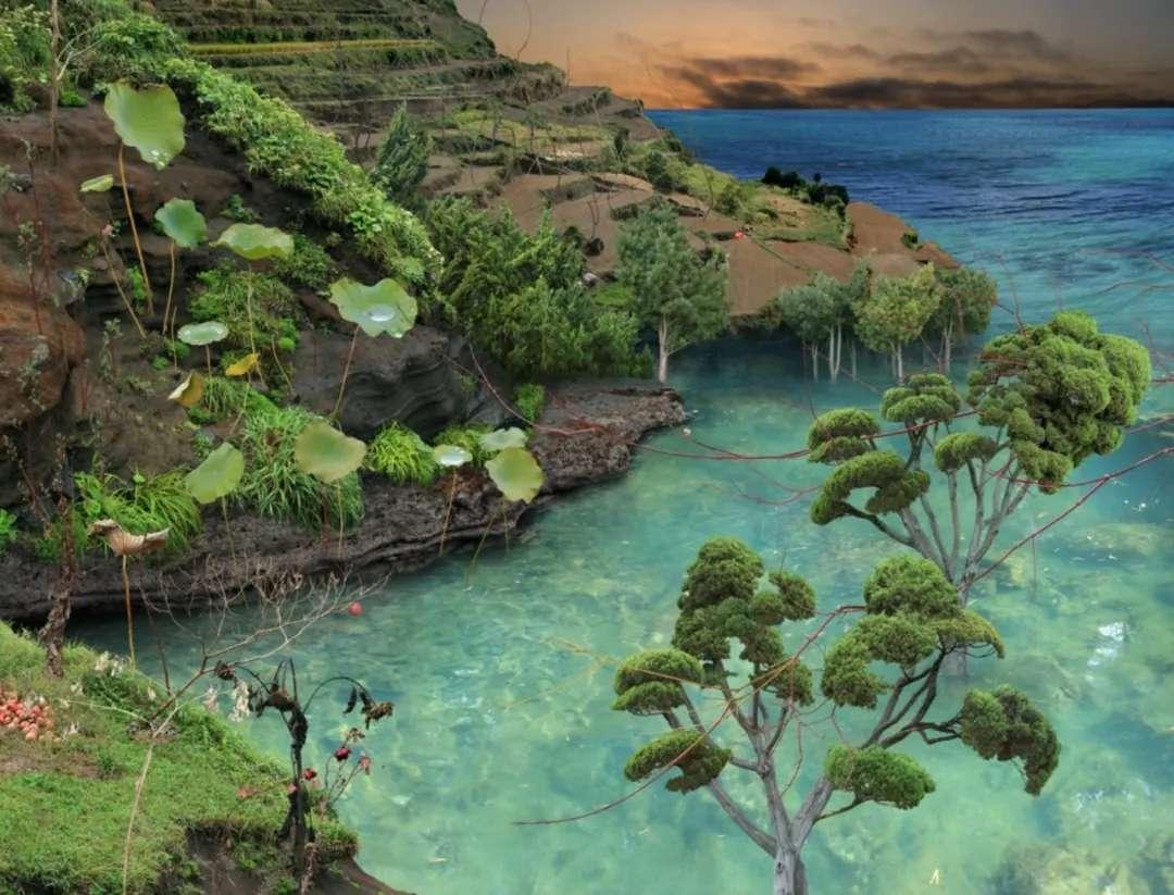 文艺有好展:收藏拍卖级的摄影作品,长什么样?|张小玉