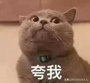 ysl最新款口红,ysl斩男妖精色口红