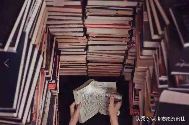 法学就业率低为什么还是热门专业,法学就业率为什么这么低