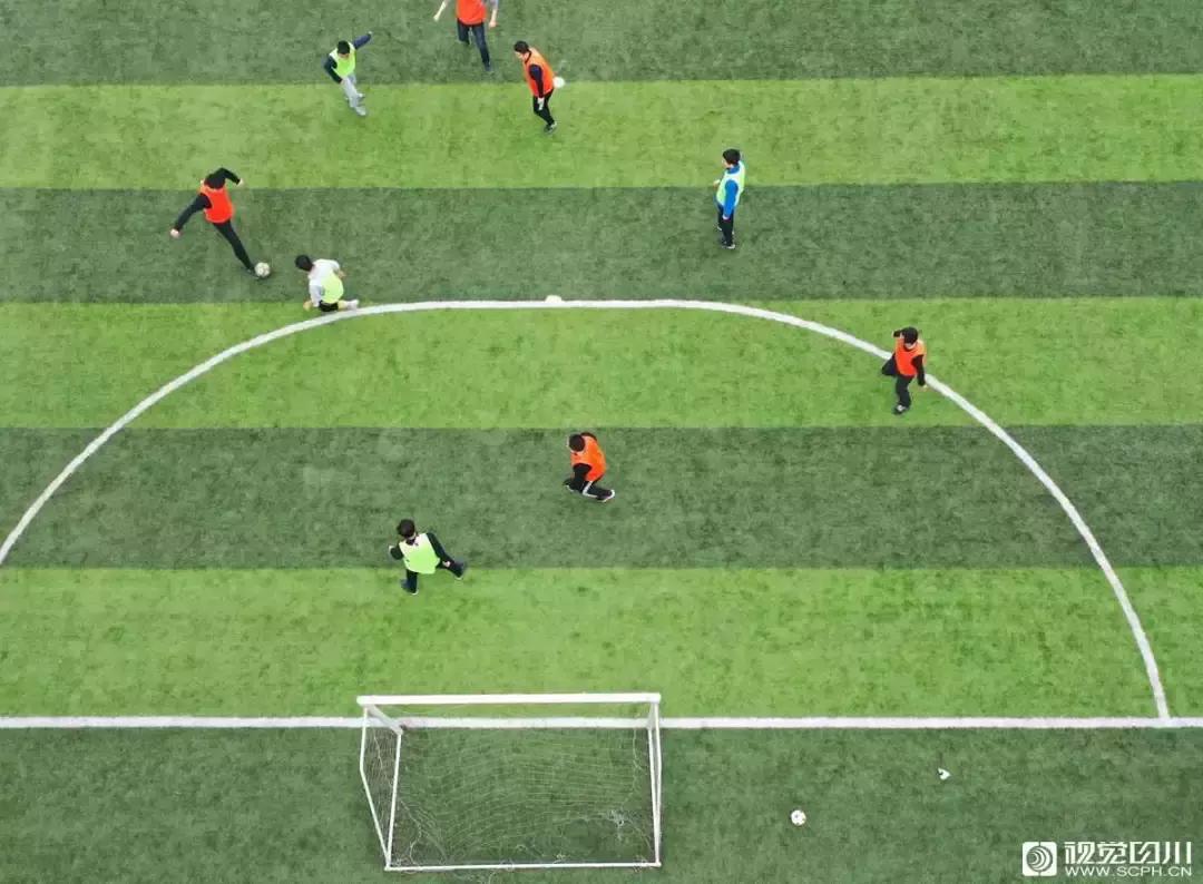 冰雪与花海齐飞！二月的四川美翻了......