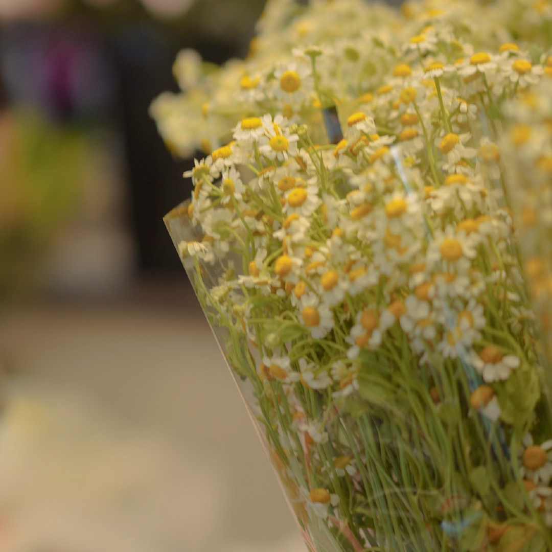 如何治愈原生家庭带来的伤害课程,该怎么治愈原生家庭带来的伤害