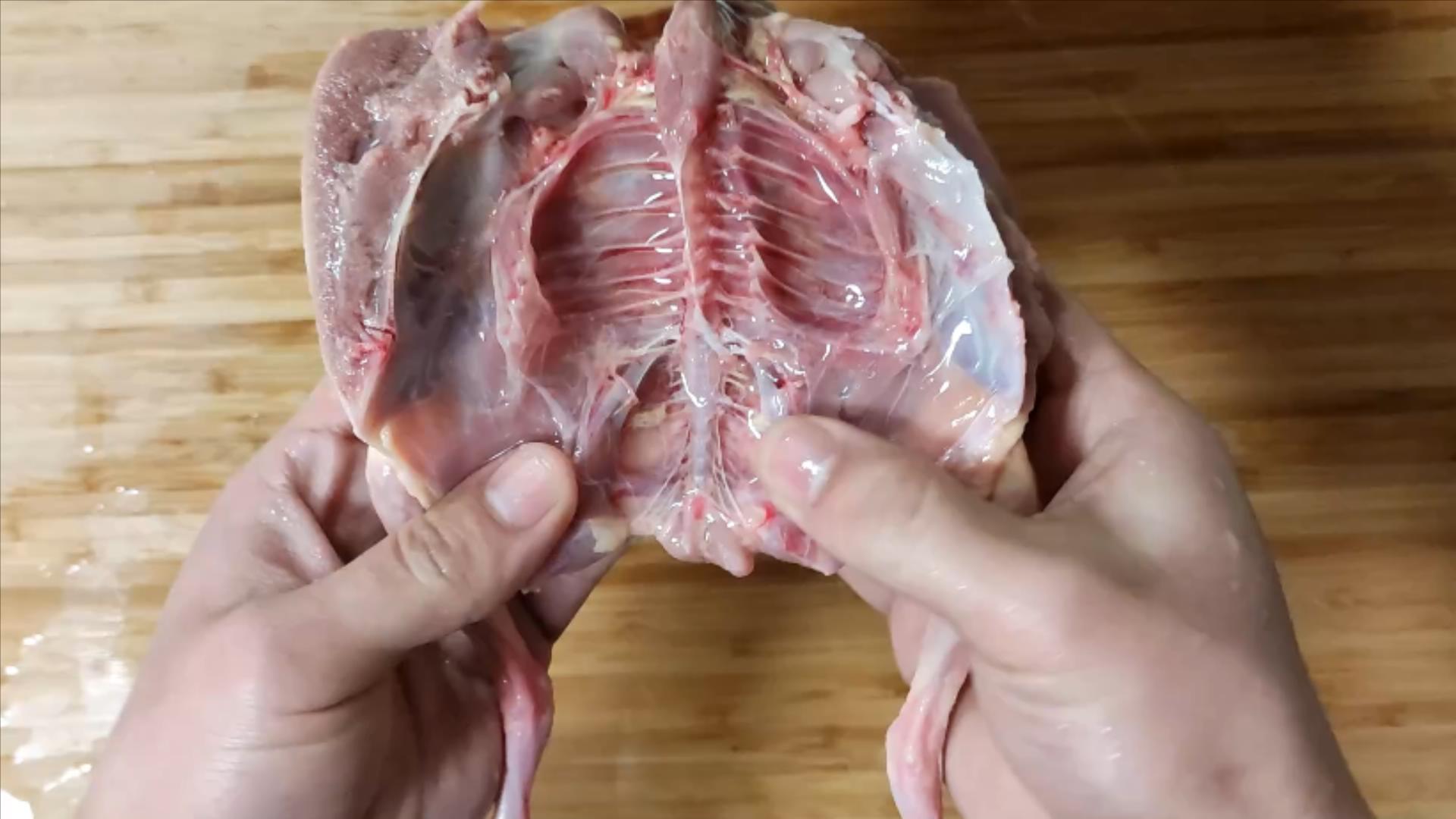 鸽子十大毒素排名,鸽子的毒素在哪里