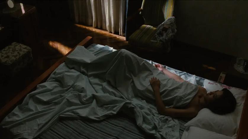 色易守,情难戒:《色,戒》14年,你还是没看懂王佳芝和易先生