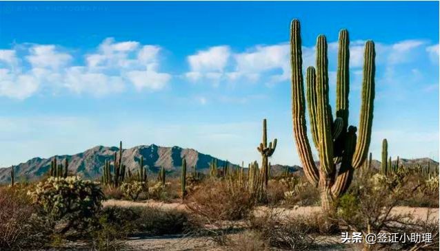 美国签证东京转机免签吗,持美国签证去多米尼加是免签吗