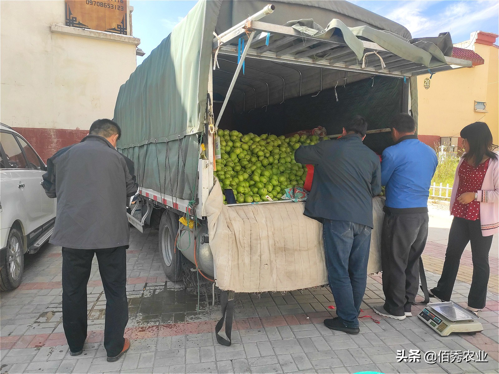 做卖水果的生意好吗,做水果生意都要自己去拉货吗