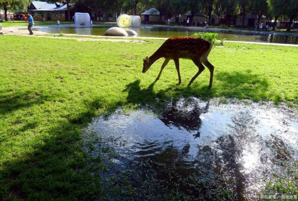 包头适合生活吗,包头是一个适合生活的地方