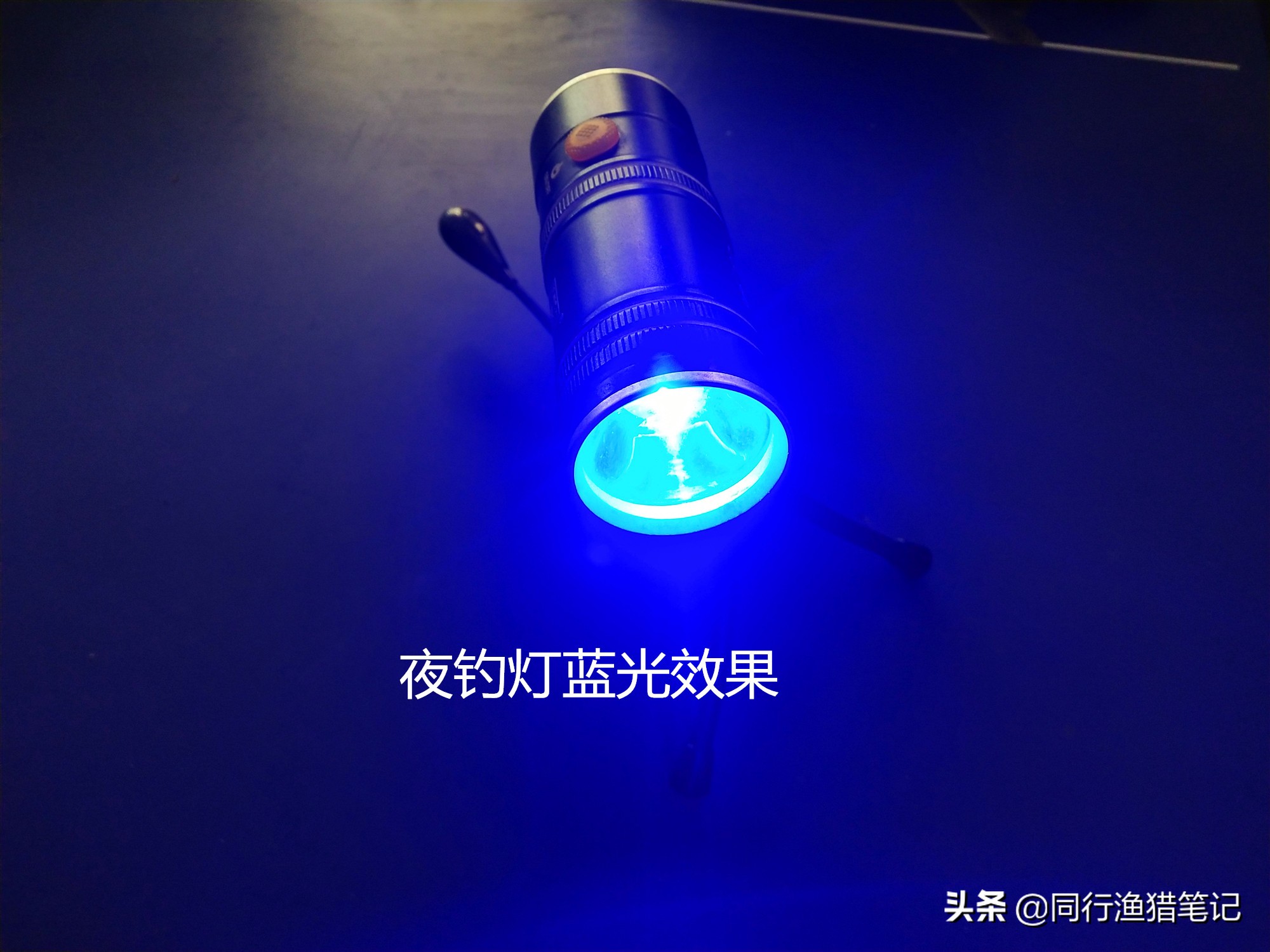 夜钓灯与夜光漂哪个更好用,夜钓鲢鳙用夜钓灯好还是夜光棒好