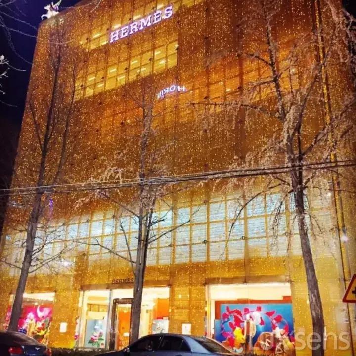 chanel新品饺子包,chanel推荐大包