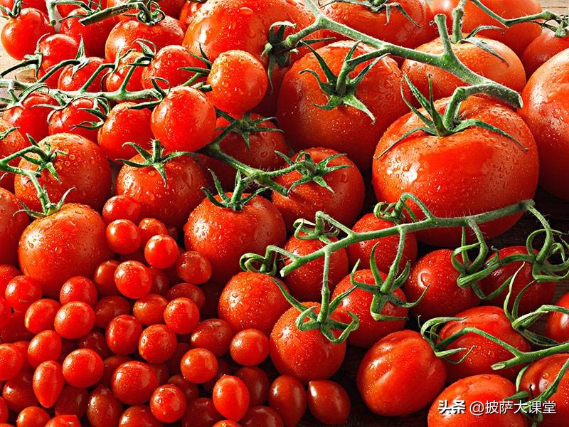 如何经营好小型披萨店,开一家披萨店需要什么技术