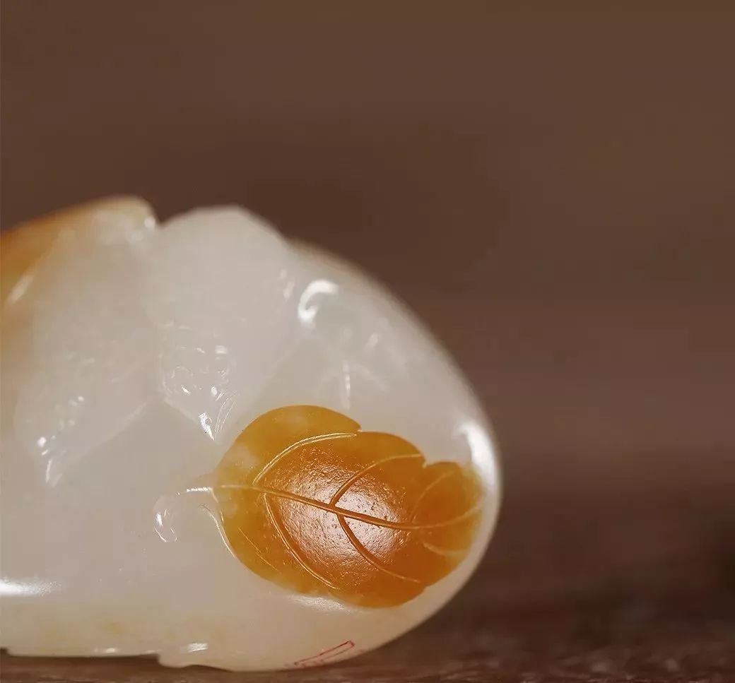 一花一世界一叶一菩提寓意,一花一世界一叶一菩提视频