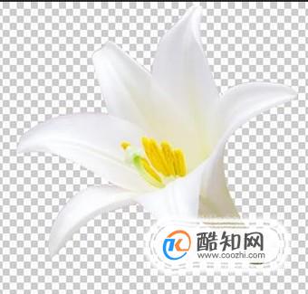 ps0基础教程自学网免费,ps0基础教程新手入门