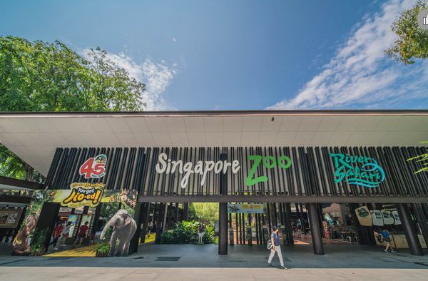 乐高世界最震撼的乐园,乐高超大型主题乐园搭建