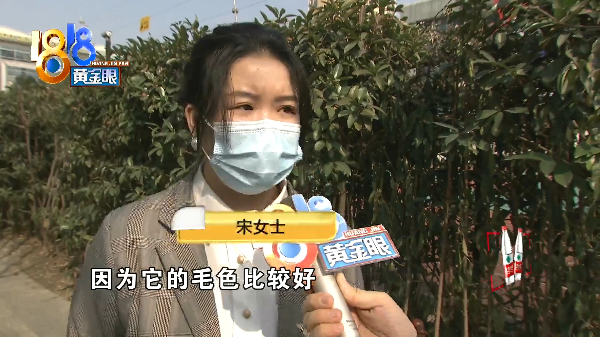 刚买10天不到的小狗被炖了,买来三天小狗就腿站不直了