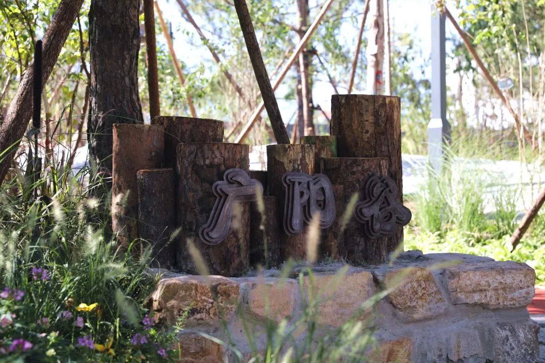 推动老城区旧貌换新颜,推进新老城区品质功能提升