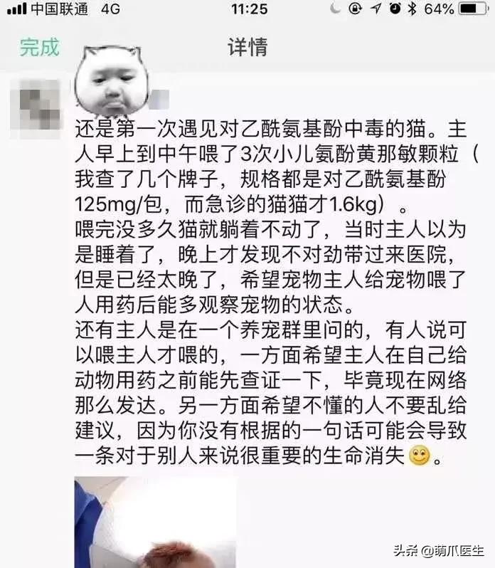 猫咪拉软便吃什么药,猫咪吃了渴望猫粮拉软便