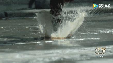 没有李易峰的「麻雀2」，我觉得还行，但它还是没逃过国产剧通病