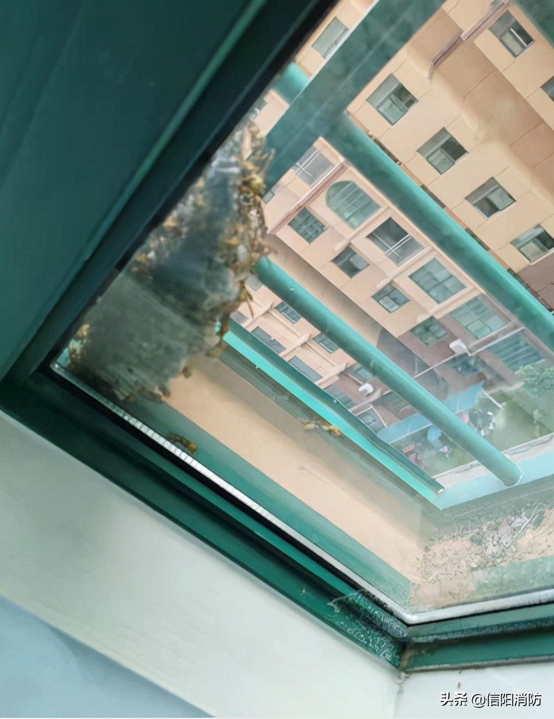 信阳今天有什么新闻大事,信阳今日热点事件