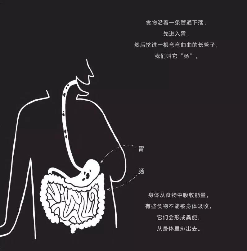 这套让娃沉迷一整天的科普书，连大人都忍不住偷着玩！畅销300万