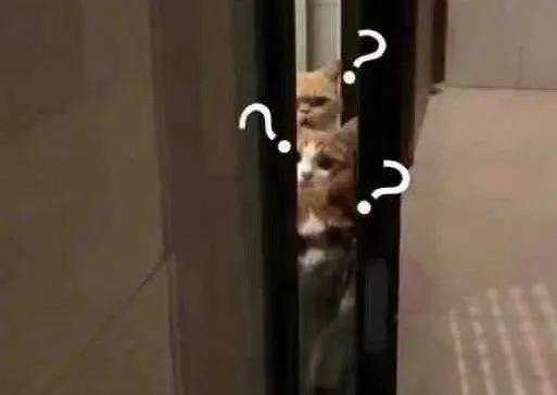 “穿着1万6的羊绒衫上班，老板夸我像章泽天”