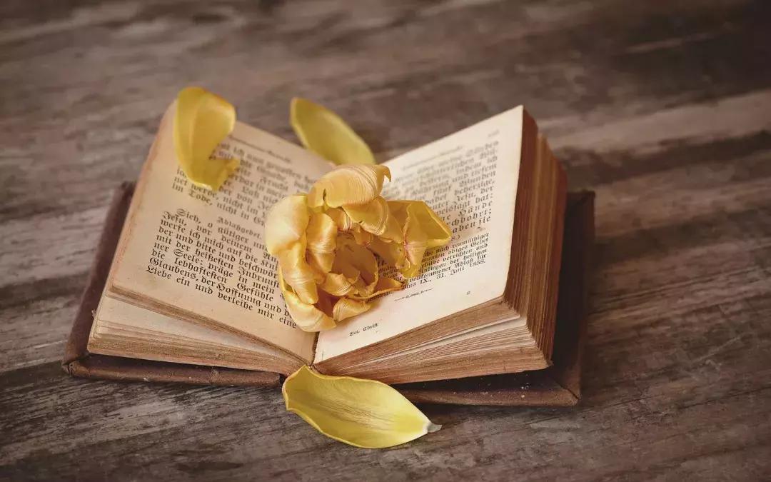 两性相处中想要女人更爱你的表现,在两性感情中女人必须懂的道理