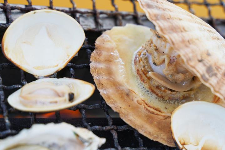 日本九州七星列车,日本九州列车