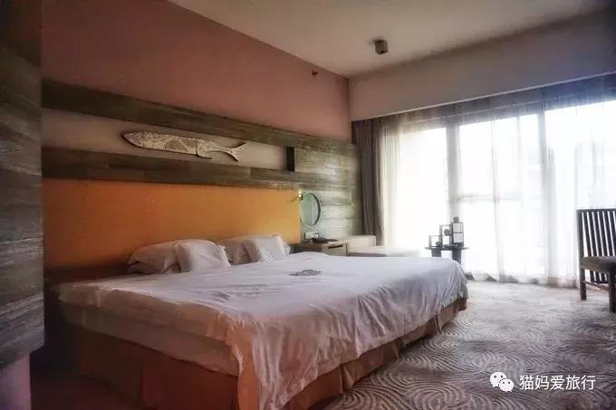 2天游玩广州长隆野生动物园攻略,广州长隆野生动物园步行游玩攻略