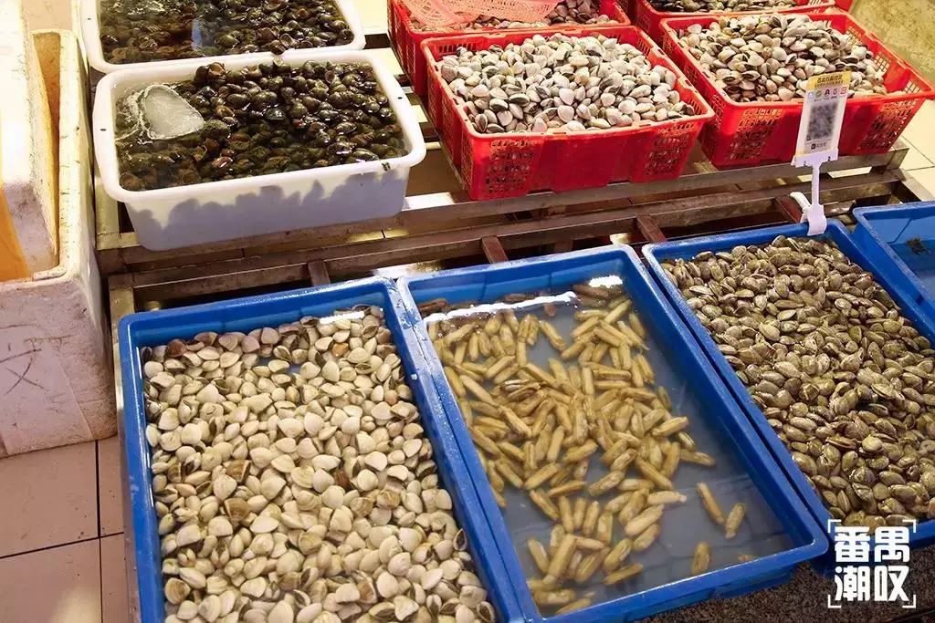 东怡新区怎么样,住在这儿的都是人生赢家