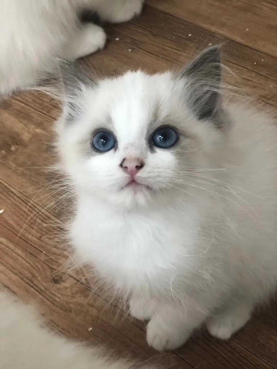 如果价格一样你会选择哪个,如果价格能决定一切