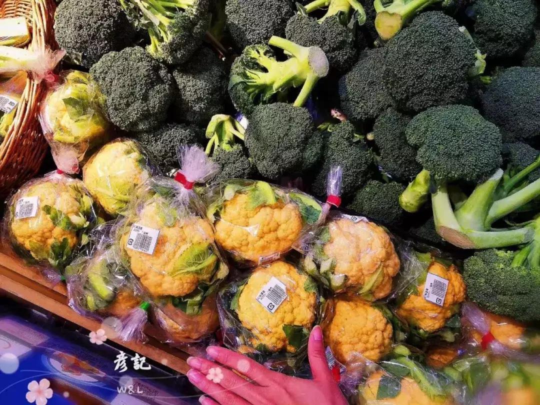 日本精致的日常生活 (日本的精致日常生活)