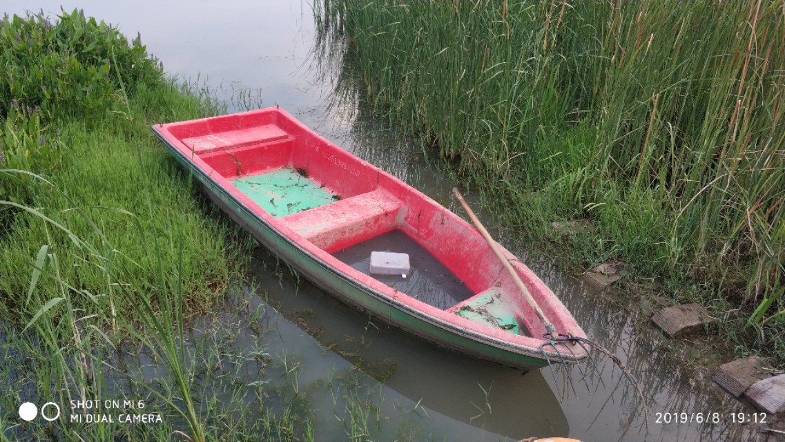 许昌秋湖湿地瑞贝卡王国,许昌瑞贝卡湿地公园