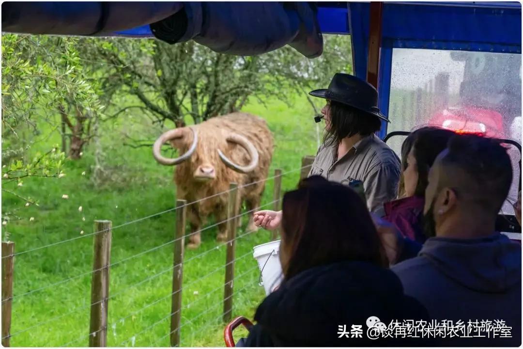 旅居生活新西兰,旅居在新西兰