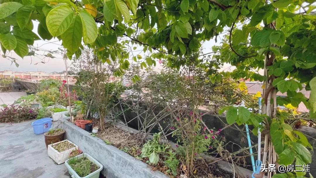 房二娃：MMP，这房子，我不卖了