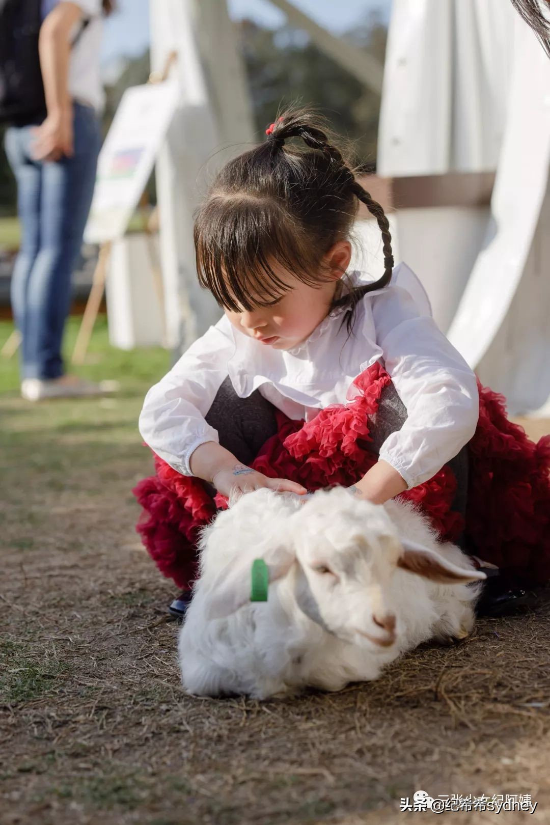 可瑞康原装进口奶粉,可瑞康奶粉澳洲价格
