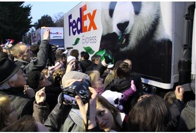 当年蚩尤坐骑,蚩尤的坐骑