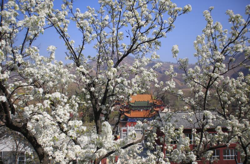河南鲁山周边游,河南玩美旅行