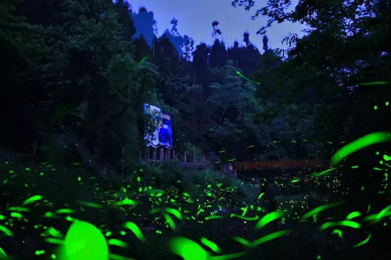 邛崃西来古镇旅游攻略,邛崃旅游攻略三日游