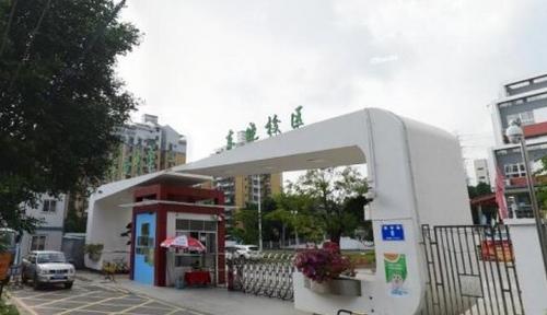 深圳翠园东晓创新学校怎么样,深圳翠园东晓中学怎么样