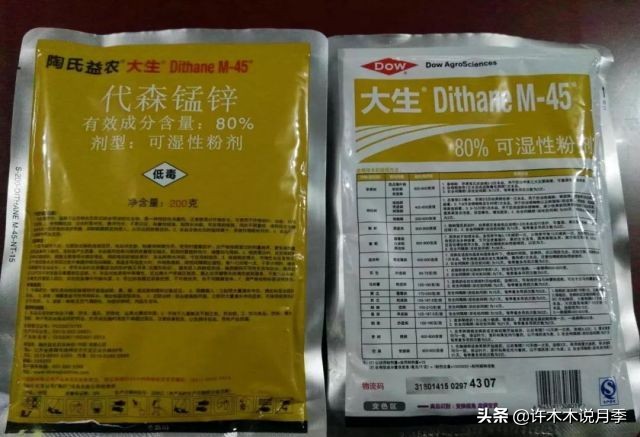 月季新手种植教程,购苗、修剪、施肥、浇水、喷药,手把手教你