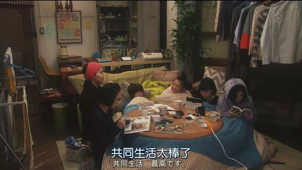 冬天去北海道可以玩什么,7月份的北海道有什么可以玩的