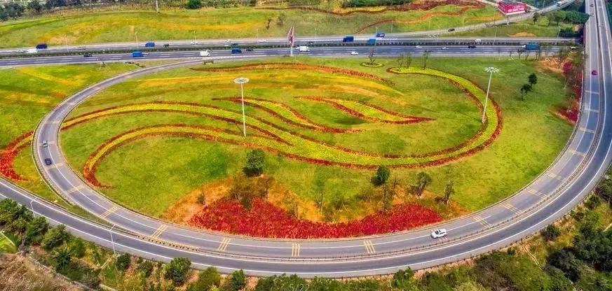 深圳光明发展最好的地方在哪,深圳光明区有什么好的地方
