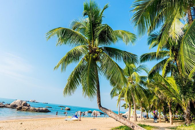 短途游|最适合一月出行的3大城市,附超详细线路推荐