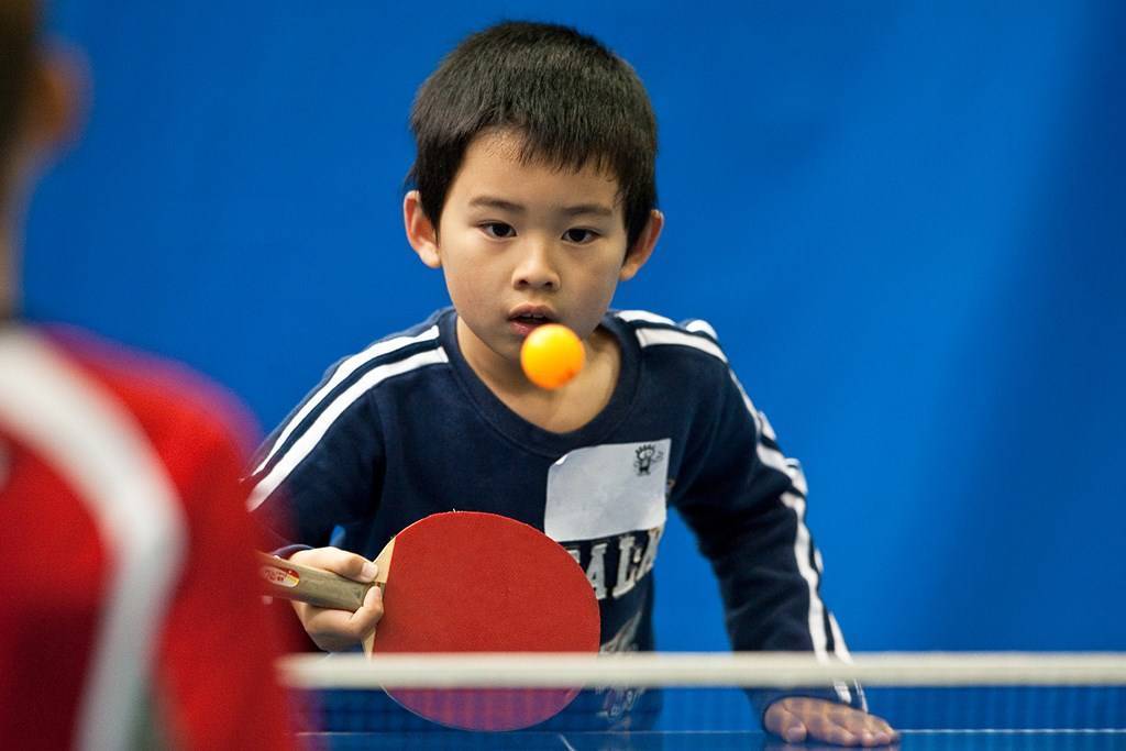 橡胶球收缩率,橡胶球是标准球吗为什么