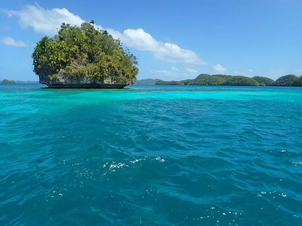 帕劳归来不看海谁说的,帕劳归来不看海