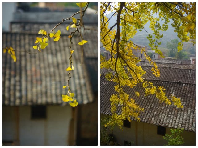 教你一个拍照技巧当你的相片模糊,拍出来的照片太模糊了怎么弄清晰