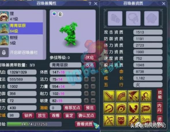 梦幻西游须弥护盾老王,梦幻西游老王满格泪妖回炉