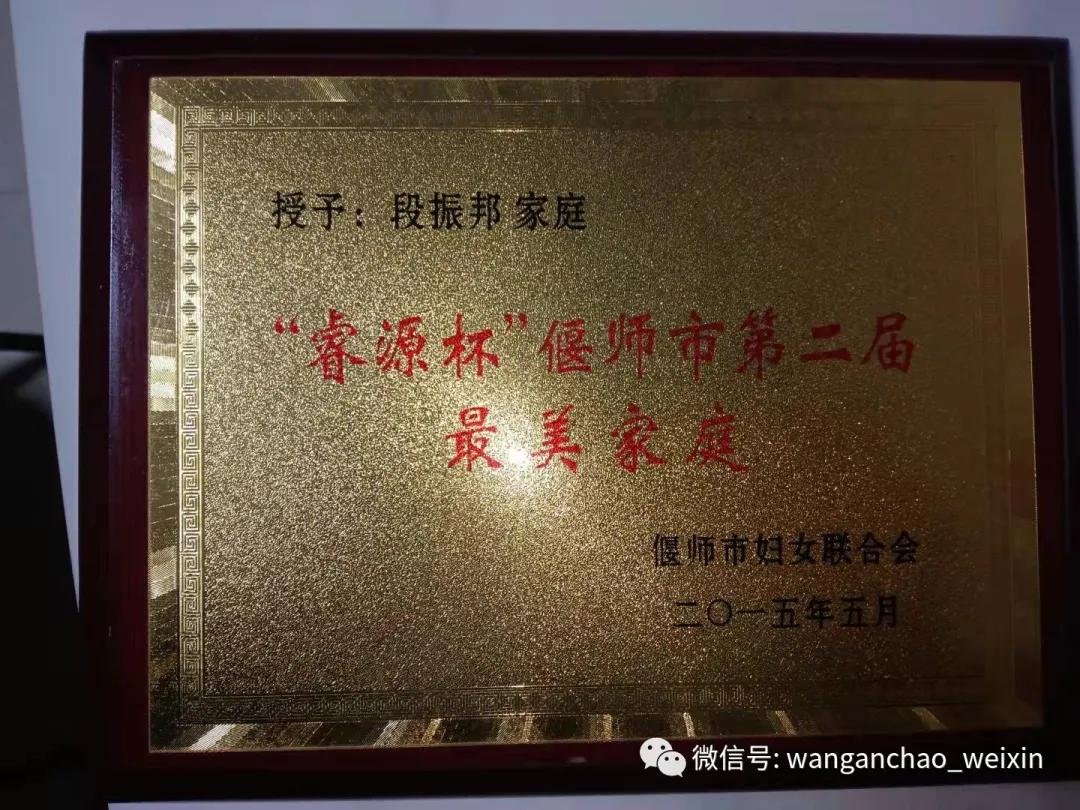 偃师翟镇段振邦:他教出了近千位画画精英