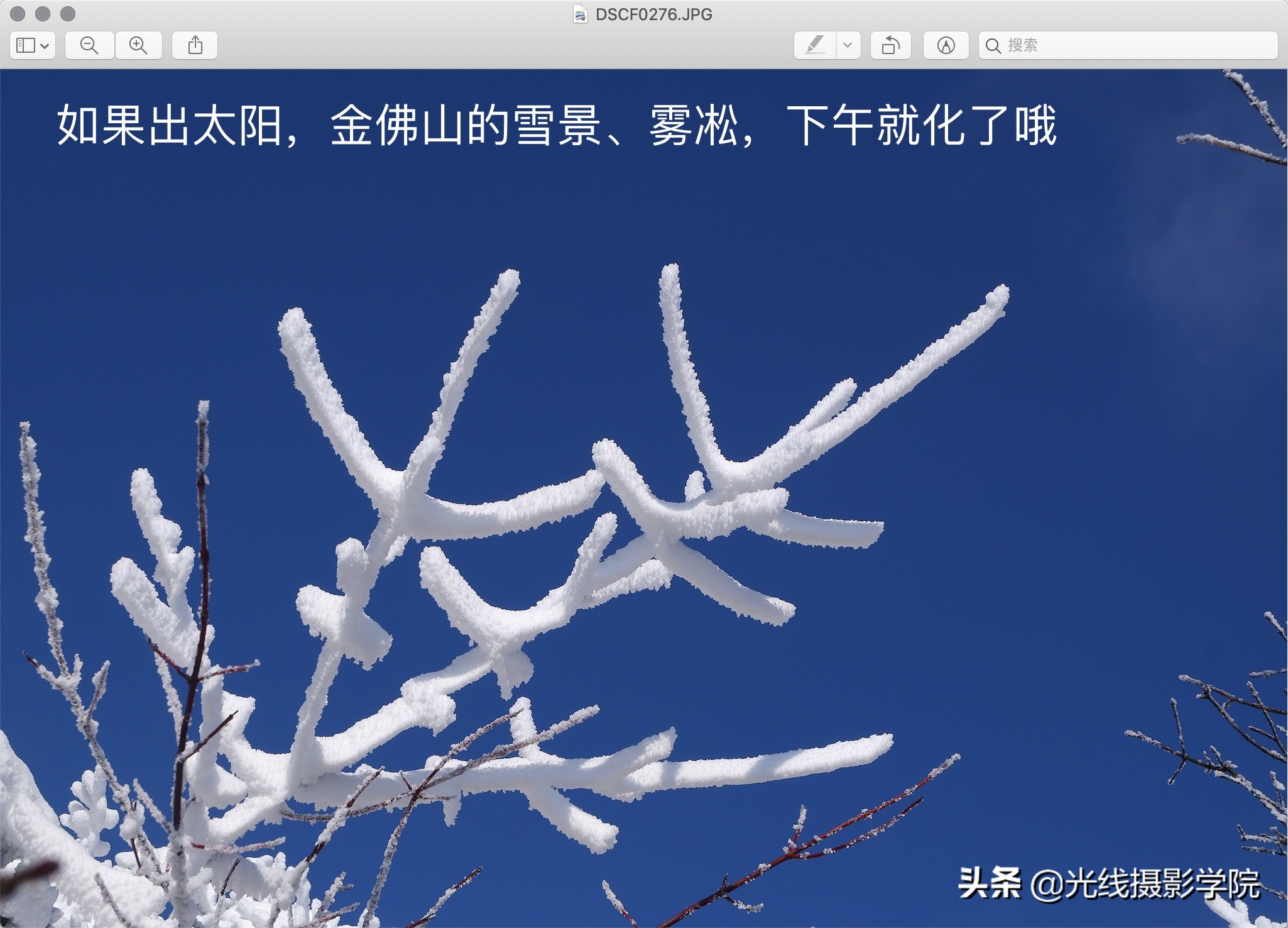 重庆金佛山冬季风景,重庆市金佛山旅游景区在下雪吗