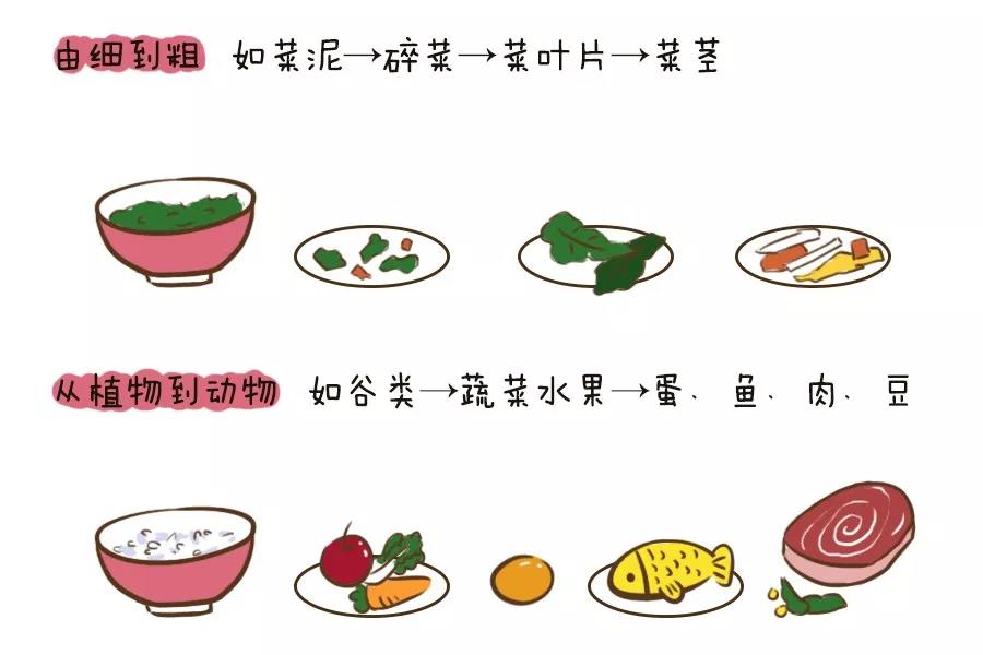 辅食菜泥的正确添加方法,如何给宝宝正确添加辅食看完就懂